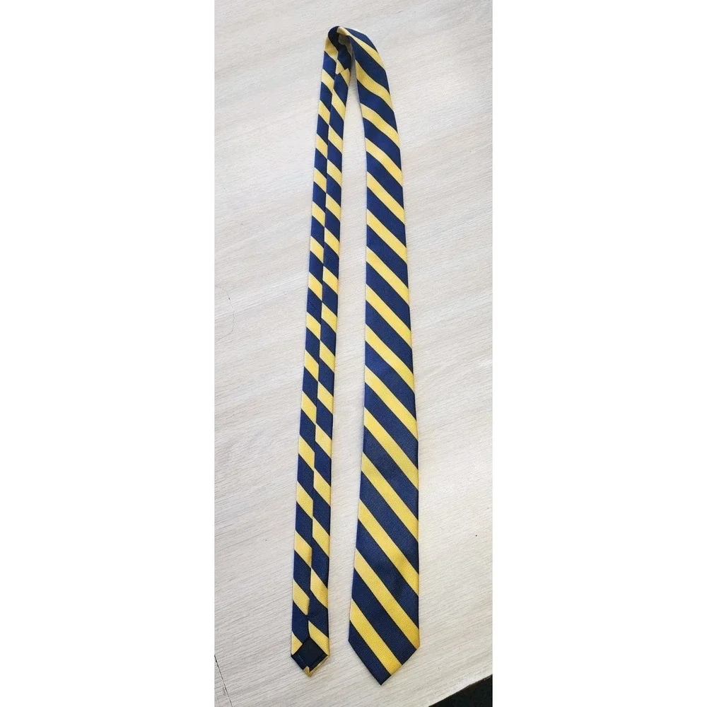 American Eagle Outfitters AEO Polyester Tie‎ Blue & Yellow Stripes Men Necktie